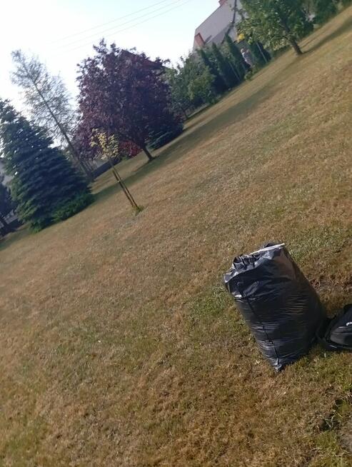 Usługi-koszenie trawy, pielęgnacja, porządki itp