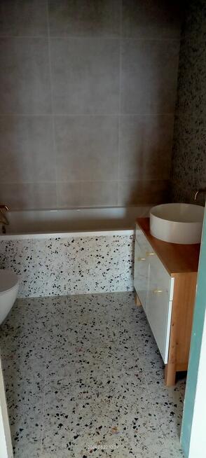 Glazurnik wolny termin