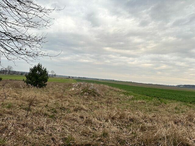 Działka budowlana, mieszkalno - usługowa, dojazd asfaltowy