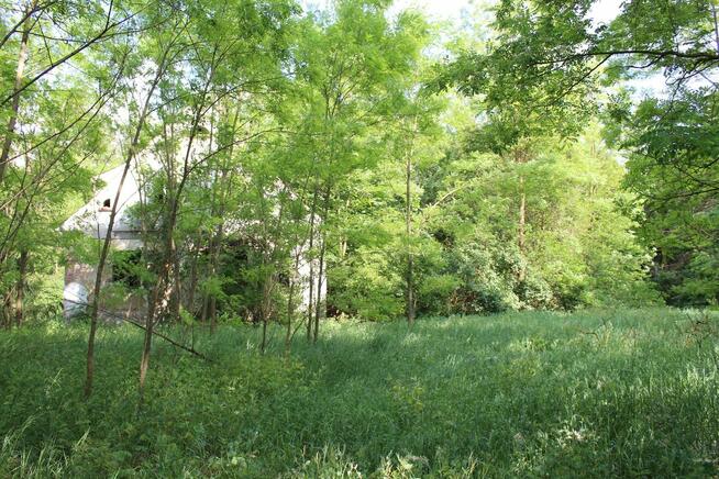 Nieduże poniemieckie siedlisko, 5 km od Karwicy