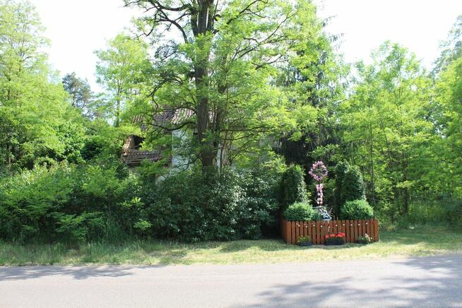 Nieduże poniemieckie siedlisko, 5 km od Karwicy