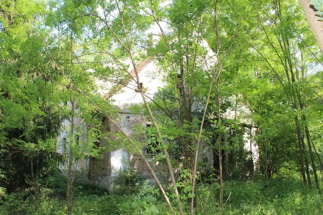 Nieduże poniemieckie siedlisko, 5 km od Karwicy