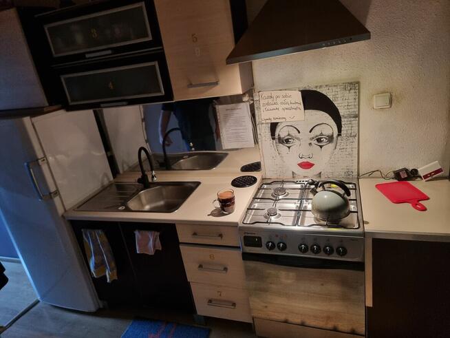 Do wynajęcia przestronny pokój dla pana