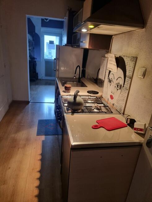 Do wynajęcia przestronny pokój dla pana