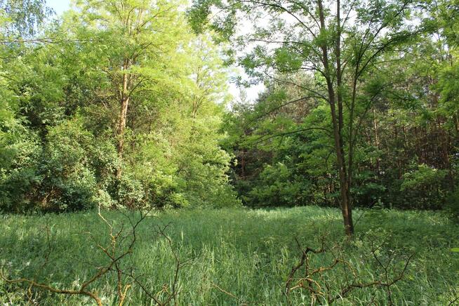 Nieduże poniemieckie siedlisko, 5 km od Karwicy