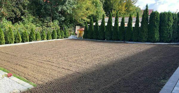 Uslugi glebogryzarka separacyjna.Kosiarka bijakowa. Trawniki