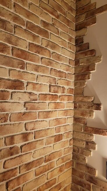 Stylowe Stare Cegły – Twój Wybór na Ściany i Elewacje