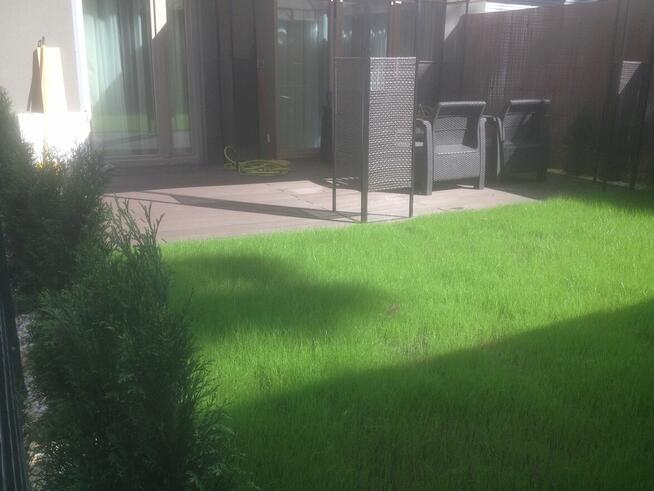 Prace Ogrodnicze, Wycinka Drzew Alpinistyczna. Prace Ziemne