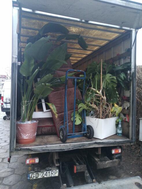 Przeprowadzki & Transport