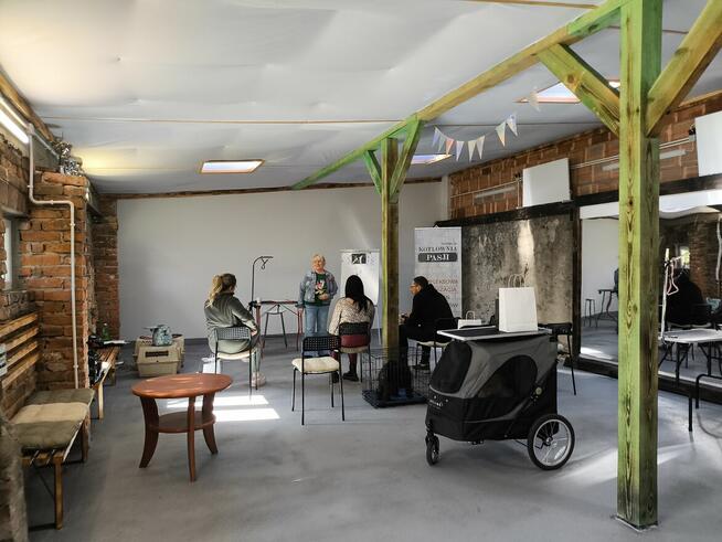 Szkolenia dla groomerów, COCKER SPANIEL i SZKOLENIE GŁÓWKOWE