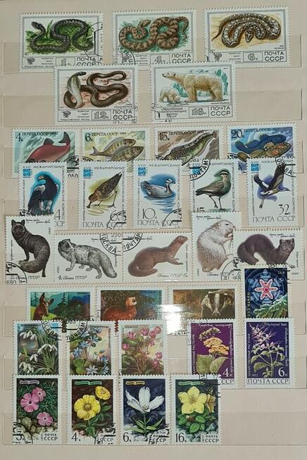 Klaser ze Znaczkami PRL 1950-1990r Starocia