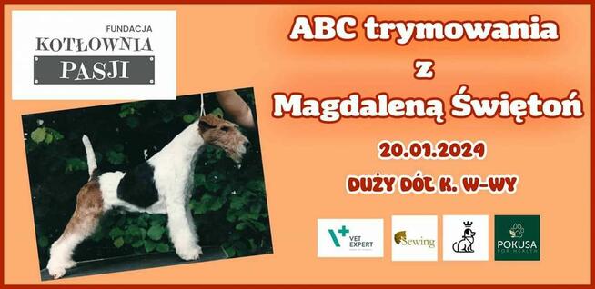 Szkolenia dla groomerów, COCKER SPANIEL i SZKOLENIE GŁÓWKOWE