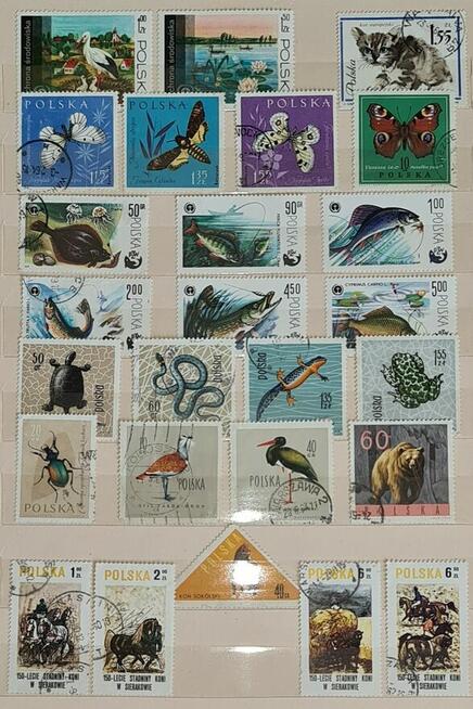 Klaser ze Znaczkami PRL 1950-1990r Starocia