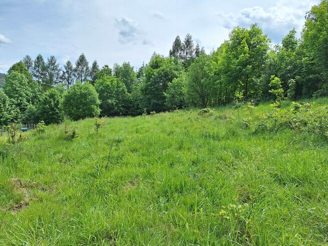 Widokowa działka pod rekreację