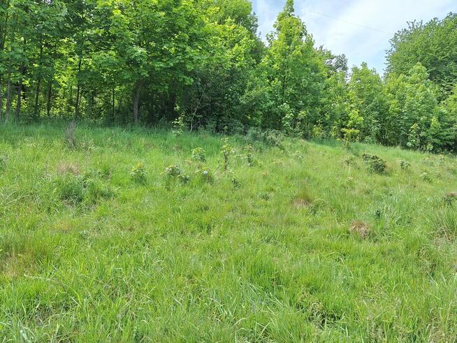 Widokowa działka pod rekreację