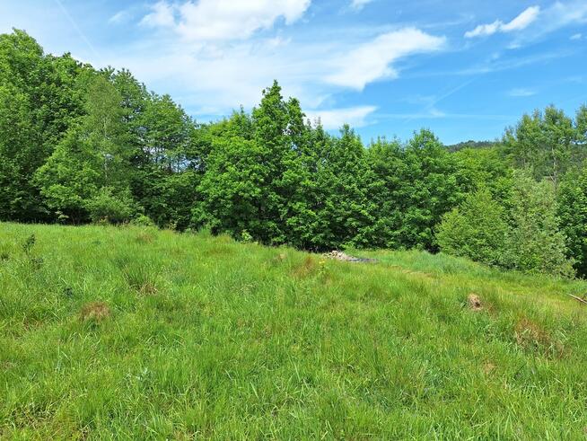 Widokowa działka pod rekreację