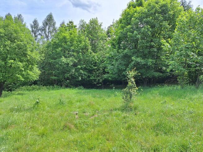 Widokowa działka pod rekreację