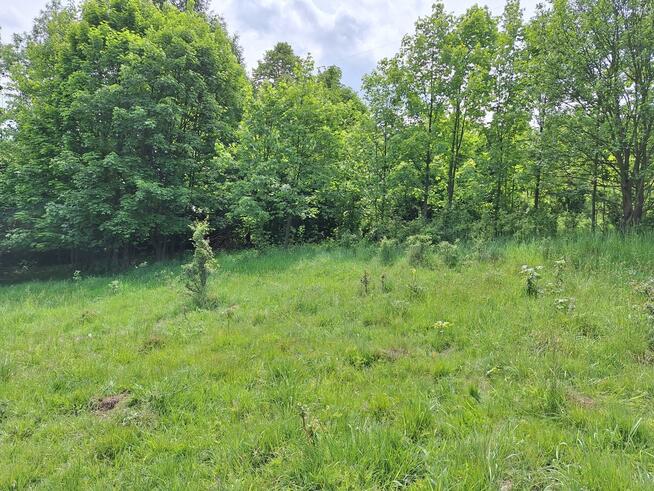 Widokowa działka pod rekreację