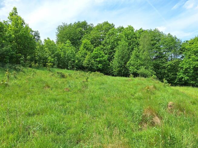 Widokowa działka pod rekreację