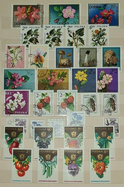 Klaser ze Znaczkami PRL 1950-1990r Starocia