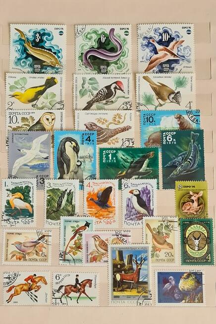 Klaser ze Znaczkami PRL 1950-1990r Starocia