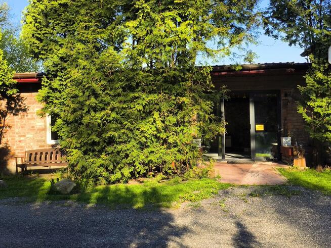 Szkolenia dla groomerów, COCKER SPANIEL i SZKOLENIE GŁÓWKOWE