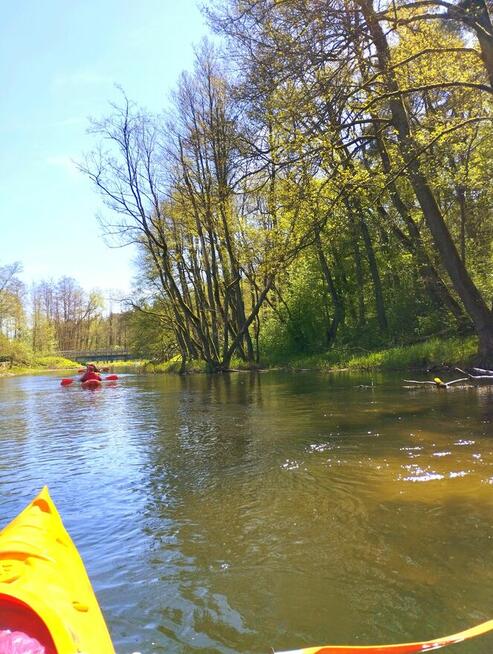 Apartamenty nad rzeką Wdą