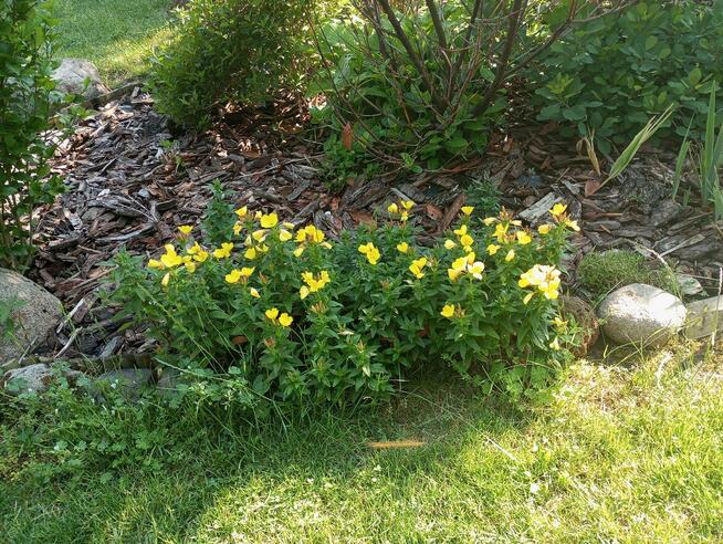 Sprzedam działkę zabudowaną.