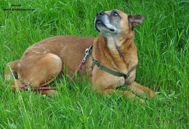 Boniek spokojny senior