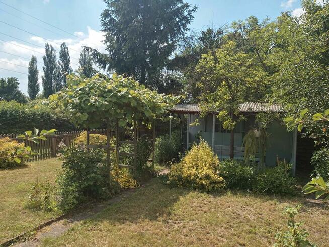 Sielska działka na Ogródkach Działkowych Zielona Polana