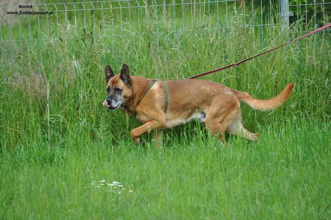 Boniek spokojny senior