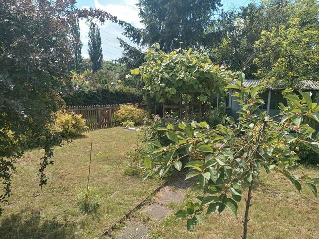 Sielska działka na Ogródkach Działkowych Zielona Polana