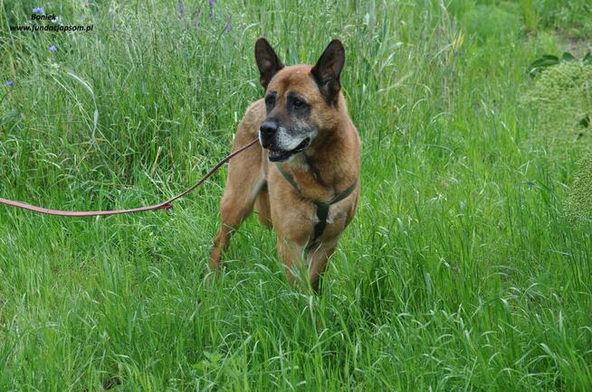 Boniek spokojny senior