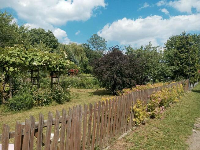 Sielska działka na Ogródkach Działkowych Zielona Polana