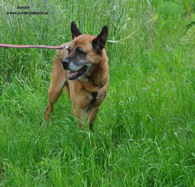 Boniek spokojny senior