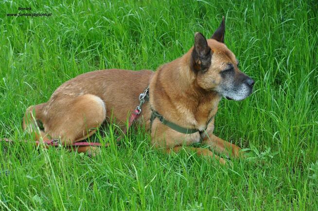 Boniek spokojny senior