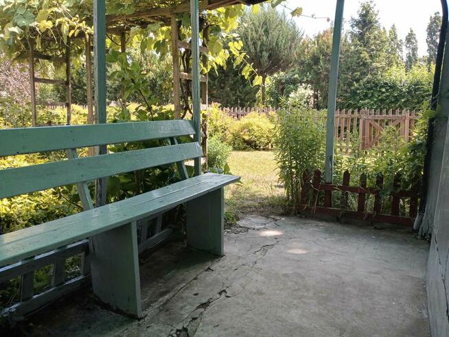 Sielska działka na Ogródkach Działkowych Zielona Polana