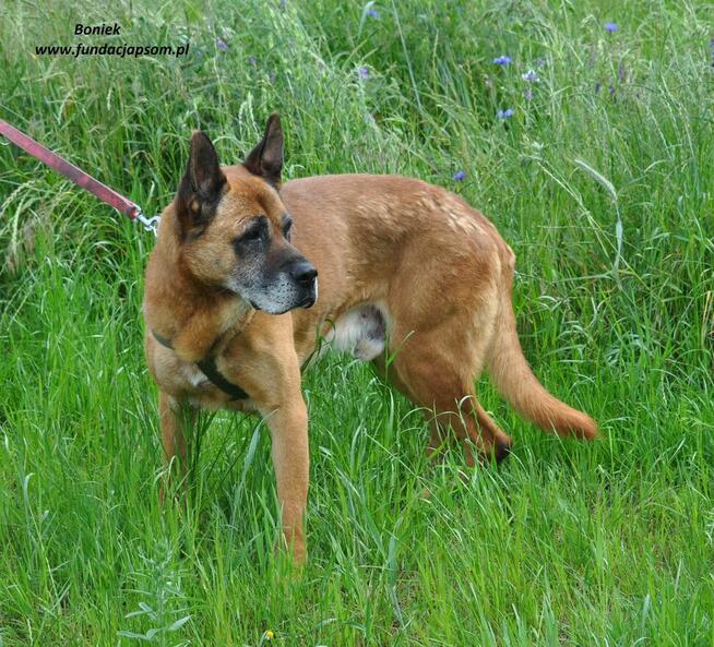 Boniek spokojny senior