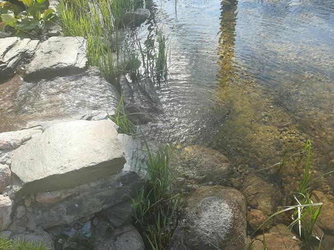 ECO 15 - FILTR DO OCZEK WODNYCH I STAWÓW ANTRACYT