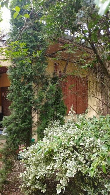 Sprzedam działkę rekreacyjna ROD Pod Lipami Poznań