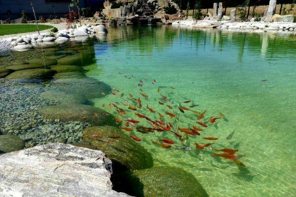 ECO 15 - FILTR STAWOWY - (12-30 tys. litrów wody)