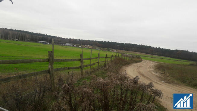 Działka inwestycyjna Guzice gm. Polkowice,