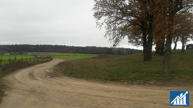 Działka inwestycyjna Guzice gm. Polkowice,