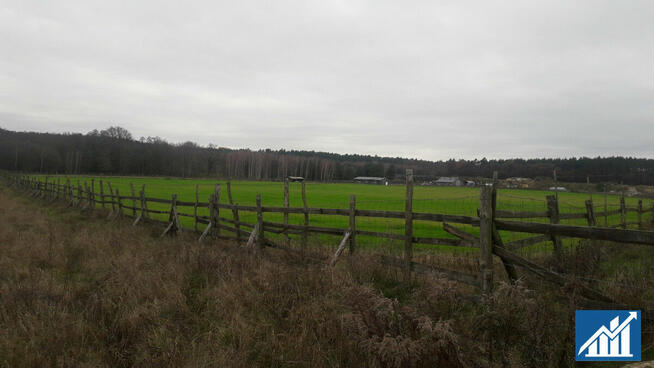 Działka inwestycyjna Guzice gm. Polkowice,