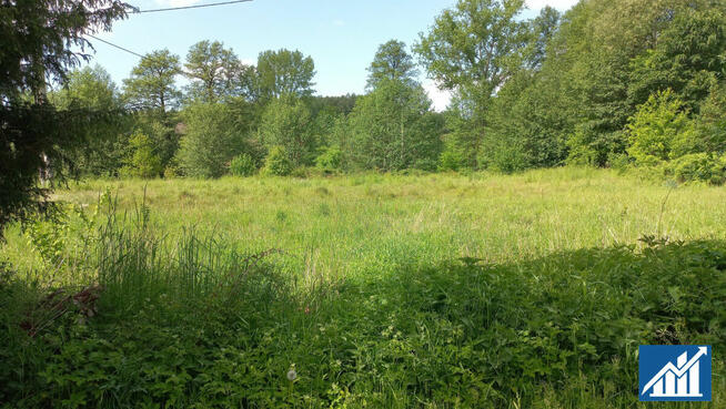 Działka budowlana 20ar Kaźmierzów gm. Polkowice,