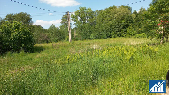 Działka budowlana 20ar Kaźmierzów gm. Polkowice,
