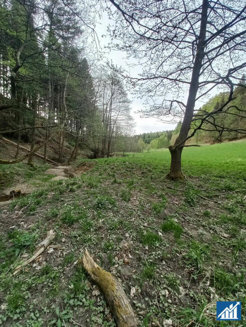 Działka budowlana Duszniki-Zdrój Podgórze,