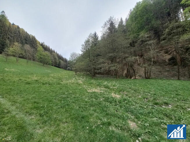 Działka budowlana Duszniki-Zdrój Podgórze,