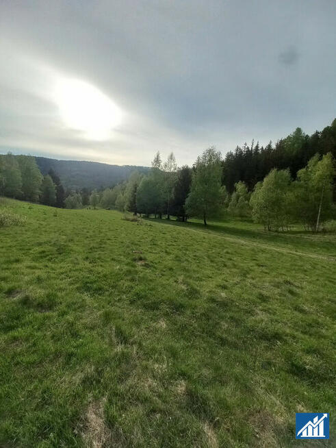 Działka budowlana Duszniki-Zdrój Podgórze,