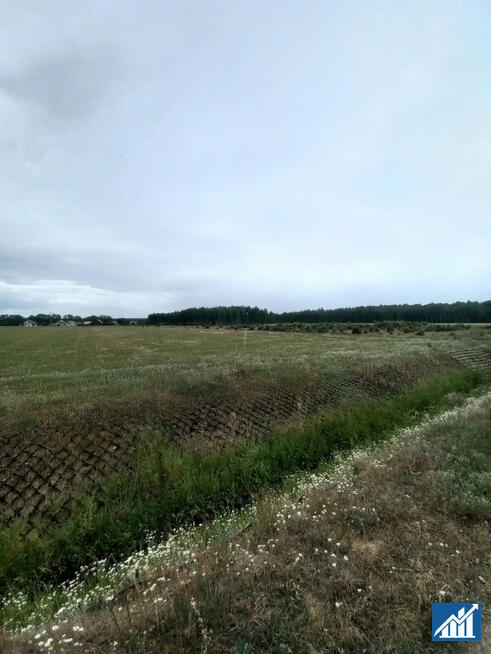 Działka przemysłowa Sobin gm. Polkowice, Myśliwska